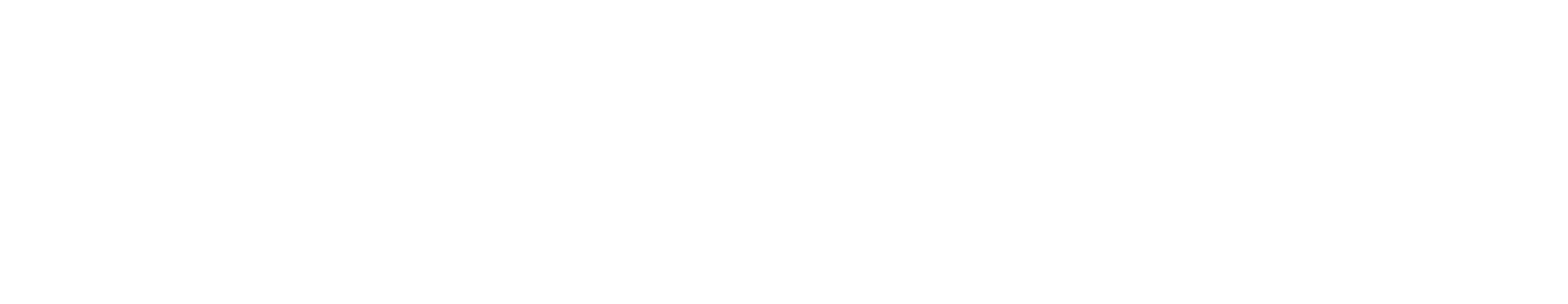 Mitzva Fit
